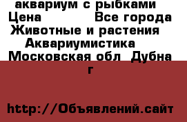 аквариум с рыбками › Цена ­ 1 000 - Все города Животные и растения » Аквариумистика   . Московская обл.,Дубна г.